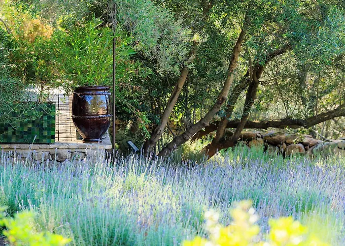 A Mandria Di Murtoli 5*