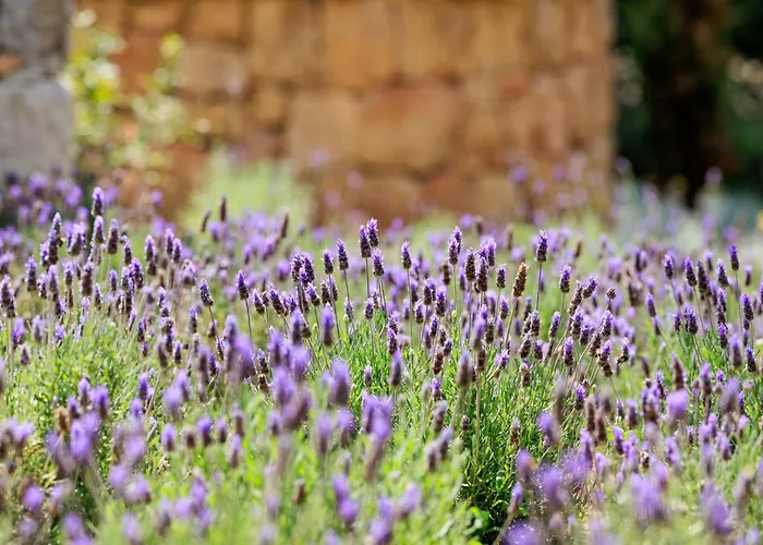 A Mandria Di Murtoli Hotel