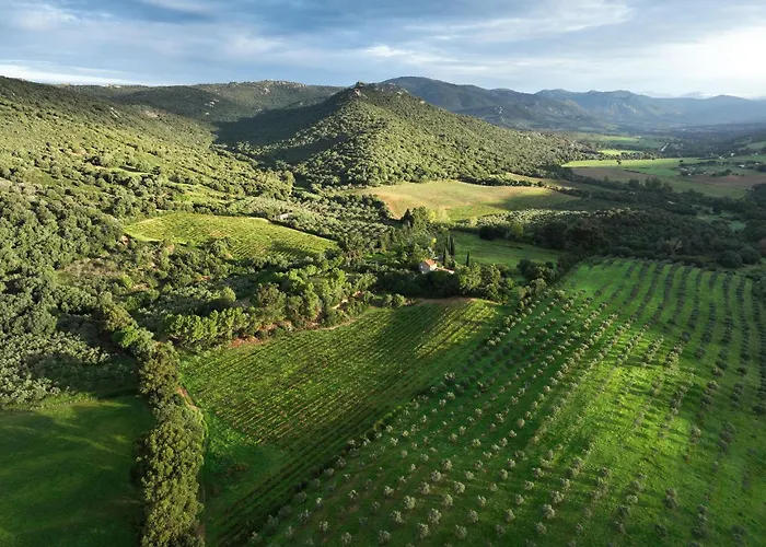 ホテル A Mandria Di Murtoli 5*