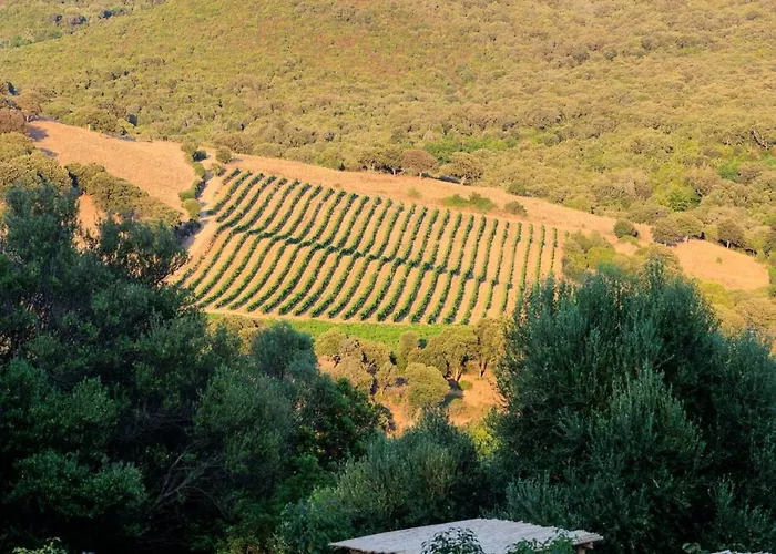 A Mandria Di Murtoli ホテル