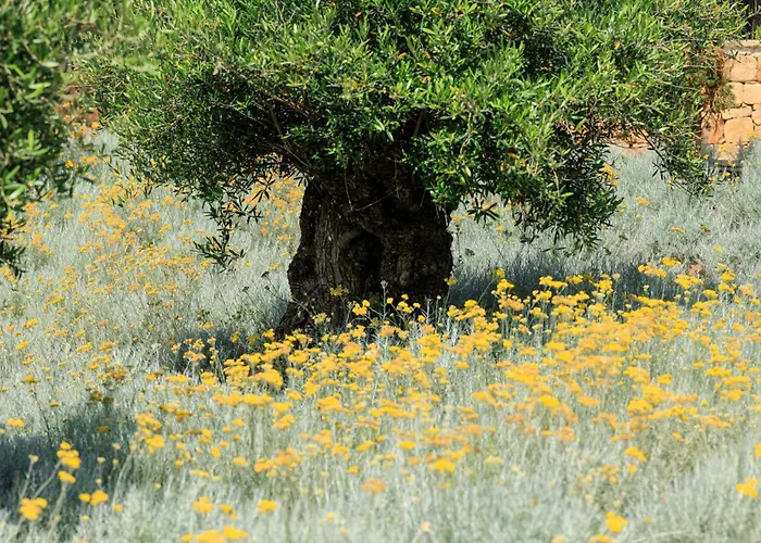 ホテル A Mandria Di Murtoli 5*