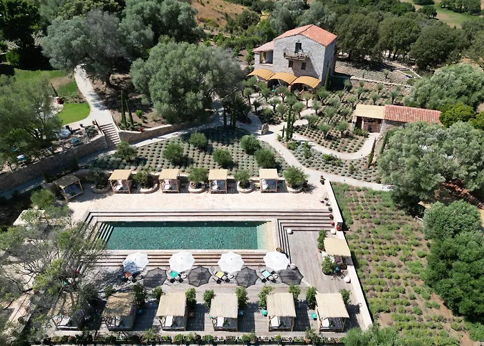 ホテル A Mandria Di Murtoli サルテーヌ